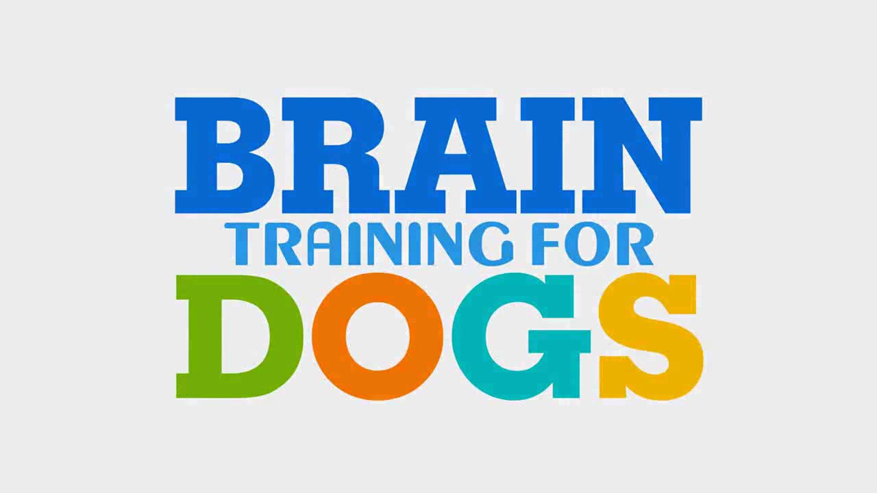 brain-training-dogs-latest-review